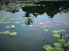 -白马涧龙池景区