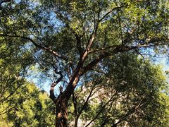 -碓臼峪自然风景区