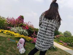 -秀丽东方