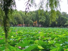 -长春市南湖公园