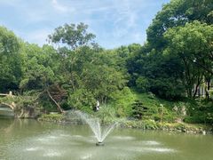 -上海醉白池公园