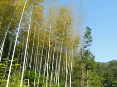 -罗田天堂寨风景区