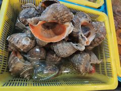 -东河市场