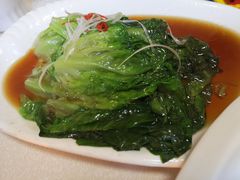 白灼马兰菜-楚畹园