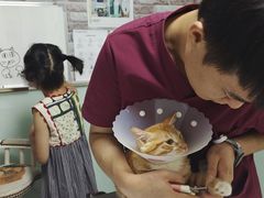 -纳吉亚猫专科动物医院博雅分院