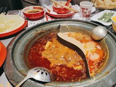 -生活如沸·顺德水牛奶火锅(大学路店)