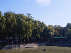 -尚庄度假村·庭台树下·户外烧烤·团建CS·轰趴营地(上庄水库店)