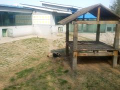 -石家庄市动物园