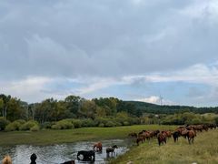 -塞罕坝国家级自然保护区