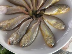 -吕四渔港码头海鲜餐厅