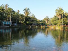 -中国科学院西双版纳热带植物园