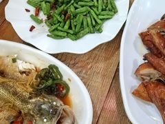 -东鸽皇(奥园·中环广场店)