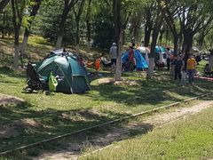 -永定河休闲森林公园