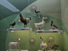 -国家自然博物馆