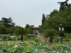 -国家植物园南园