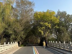 -同里国家湿地公园