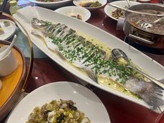 -沪碟·精菜坊(闵行店)