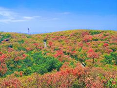 -大围山国家森林公园