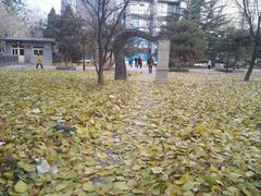 -北京航空航天大学-图书馆