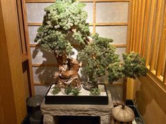 -元通寿司(东骏店)