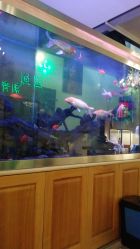 店内环境-越域刺青