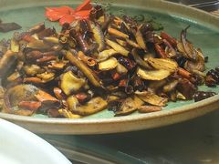 -鲜菌江湖正宗野生菌火锅