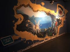 -北戴河圣蓝海洋公园