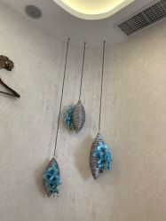 -健身堂科技美肌SPA