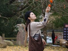 -楠溪江风景名胜区