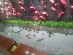 -辣不二地道川菜(汉水路店)