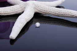 81分，其他看着也挺大了-威德钻石-克拉钻大本营(南京东路店)