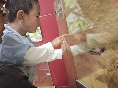 -上海昆虫博物馆