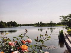 -上海辰山植物园