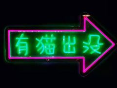 -十年猫舍·猫咪专门店(普陀店)