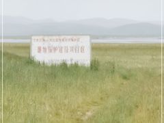 -郭莽湿地
