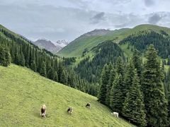 -新疆那拉提国家旅游度假区