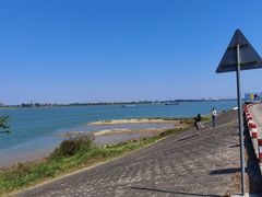 -八仔大富楼·河鲜(西江店)