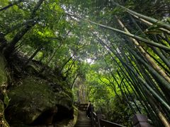 -缙云山景区