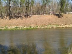 -东郊湿地公园