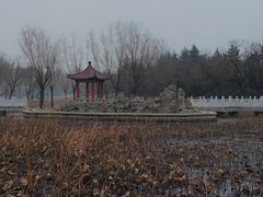 -莱西月湖公园