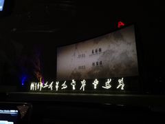 -枫花园汽车电影院(朝阳公园店)