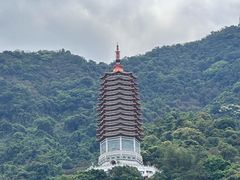 -深圳仙湖植物园