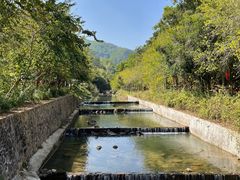 -广州白江湖森林公园