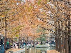 -白水寺森林公园