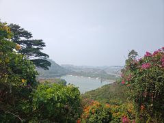 -水濂山森林公园