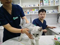 -佳雯宠物医院(金华南路分院)