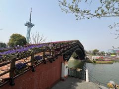 -聚龙湖公园