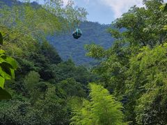 -大鄣山卧龙谷景区