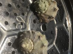 船奇.蒸汽海鲜-船奇蒸汽海鲜·闽菜(八市海鲜总店)