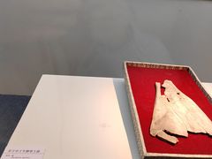 -安阳博物馆